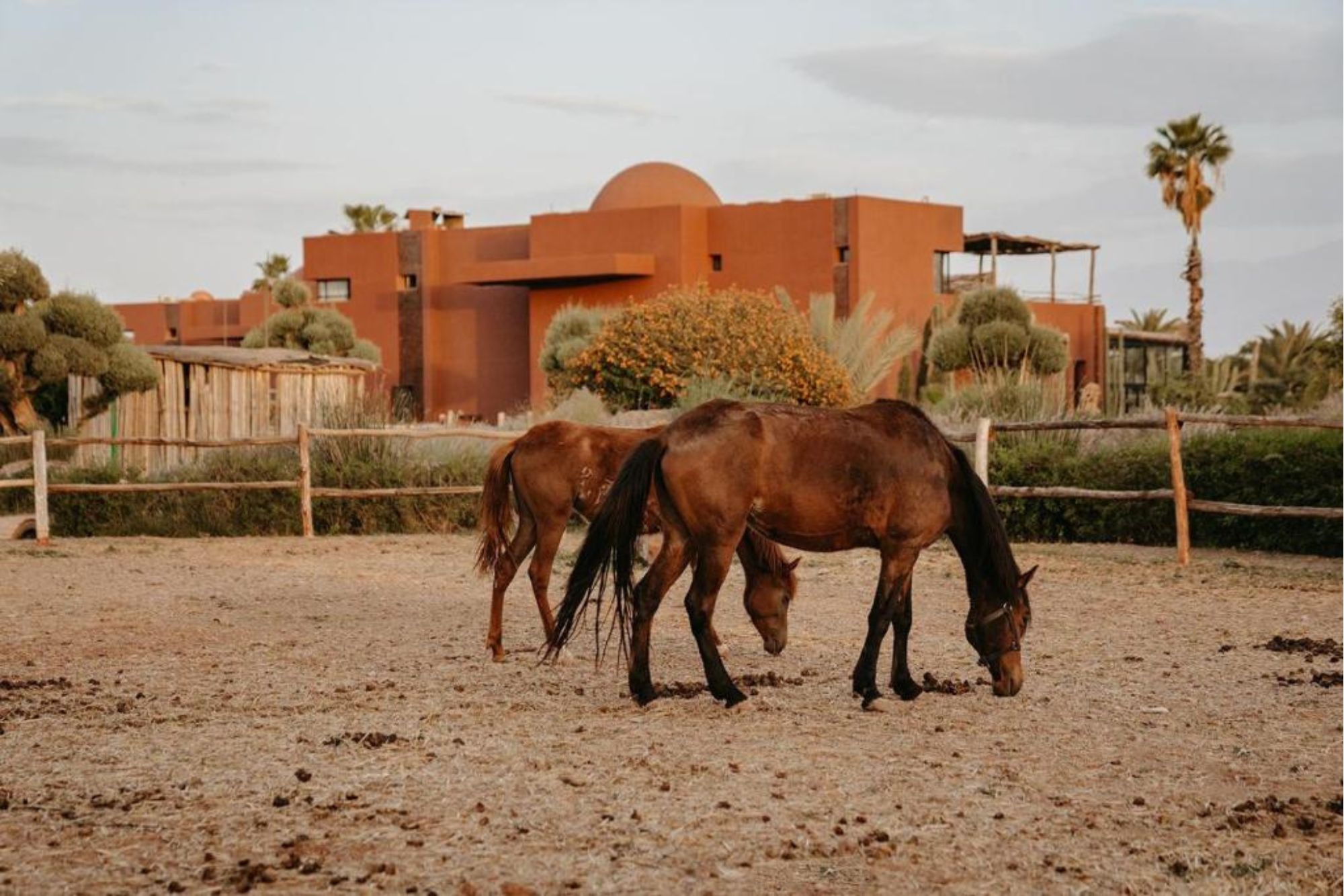 Fellah Hotel _ Hotel de charme à Marrakech (1)