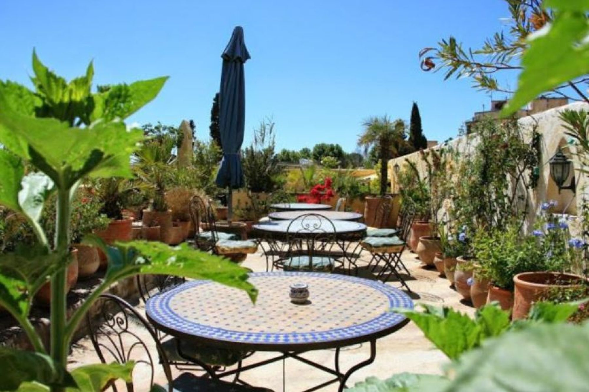 Riad Al Bartal