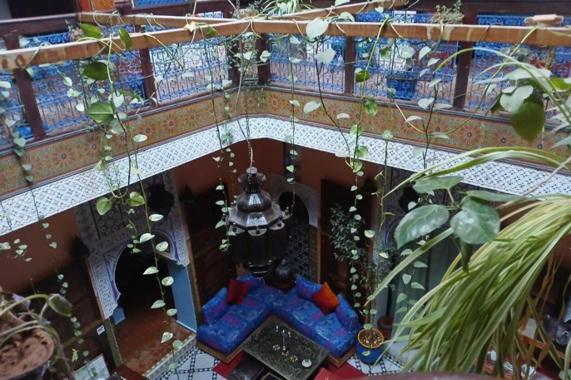 Riad Idrissi (1)