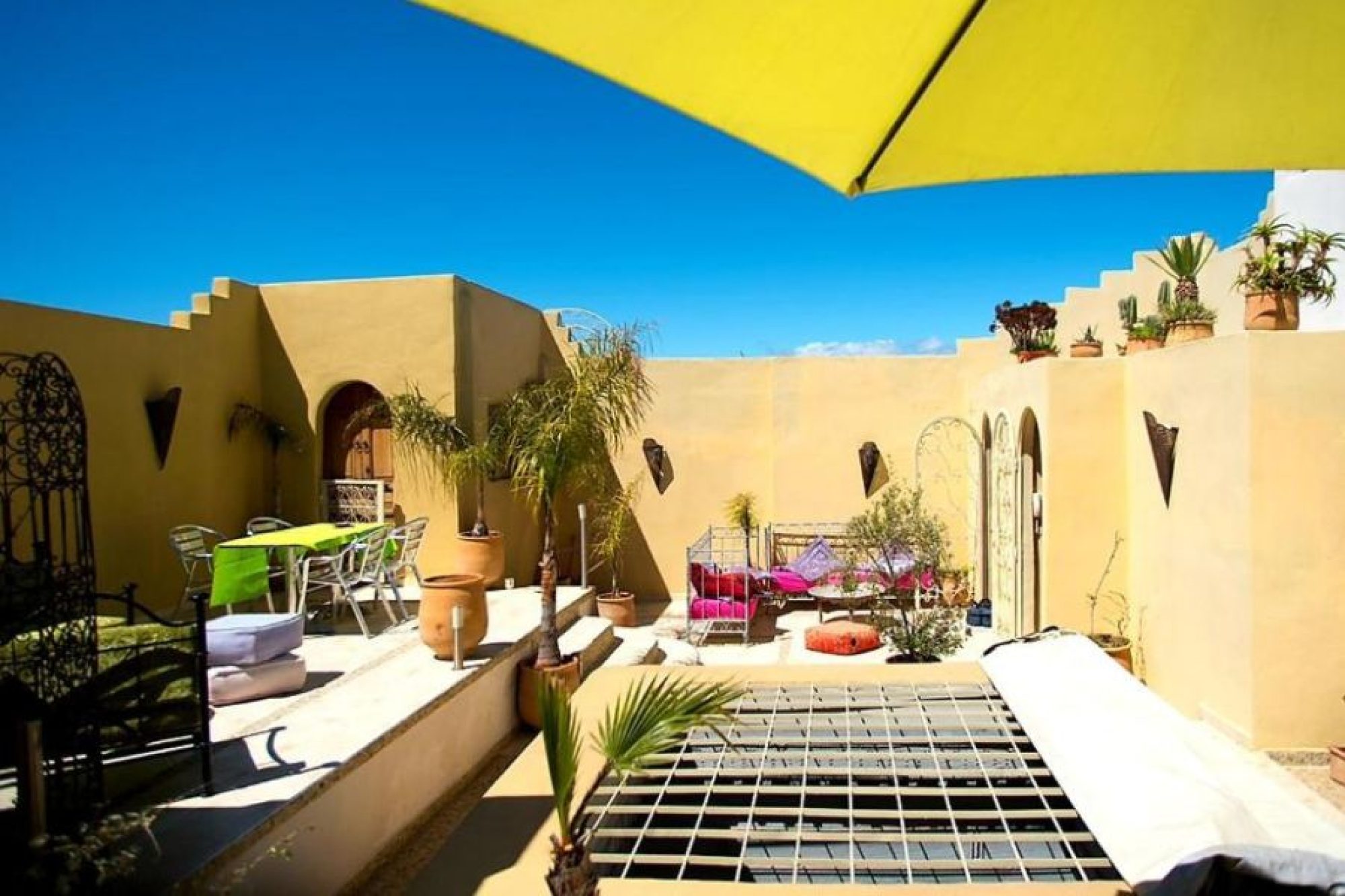 Riad Safir (3)